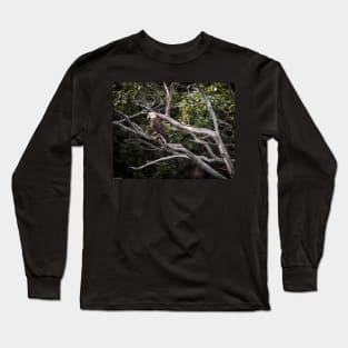 Diamond Highway Eagle Long Sleeve T-Shirt